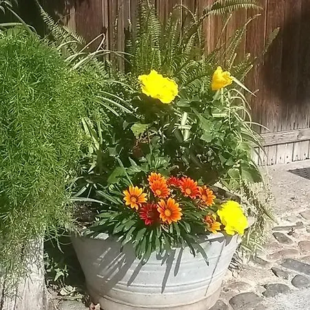 Sa Specula Iun E4404 3* San Vito (Sardinia)