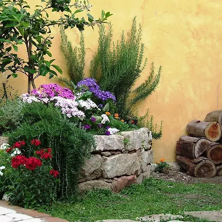 Sa Specula Iun E4404 Bed and breakfast